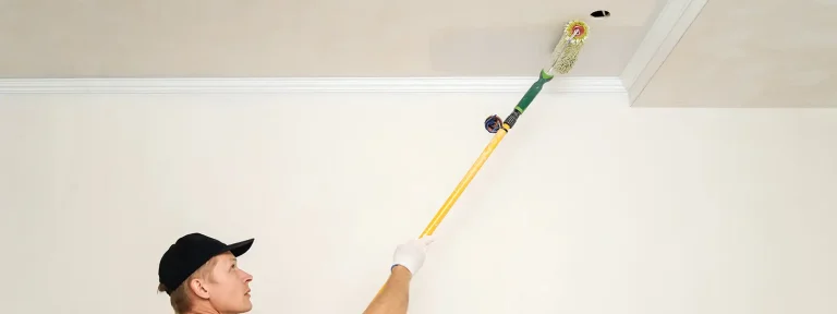 Ceiling Painting Hero
